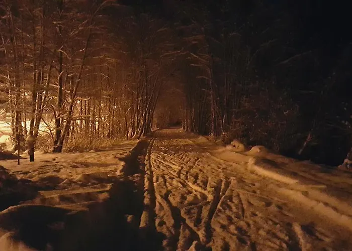 Gundi Pettneu am Arlberg