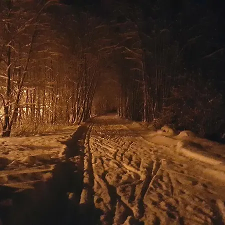 Gundi Pettneu am Arlberg